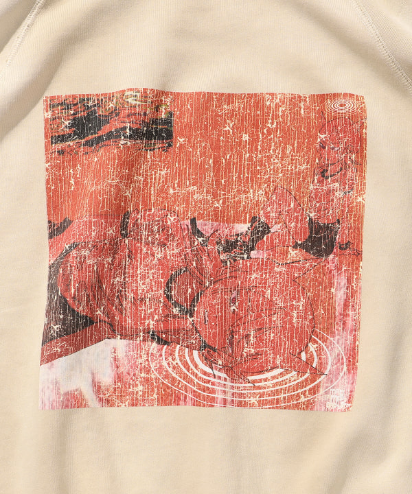 BEAMS（ビームス）JUN INAGAWA × MOORE / DAMEGE FLOCKY PRINT