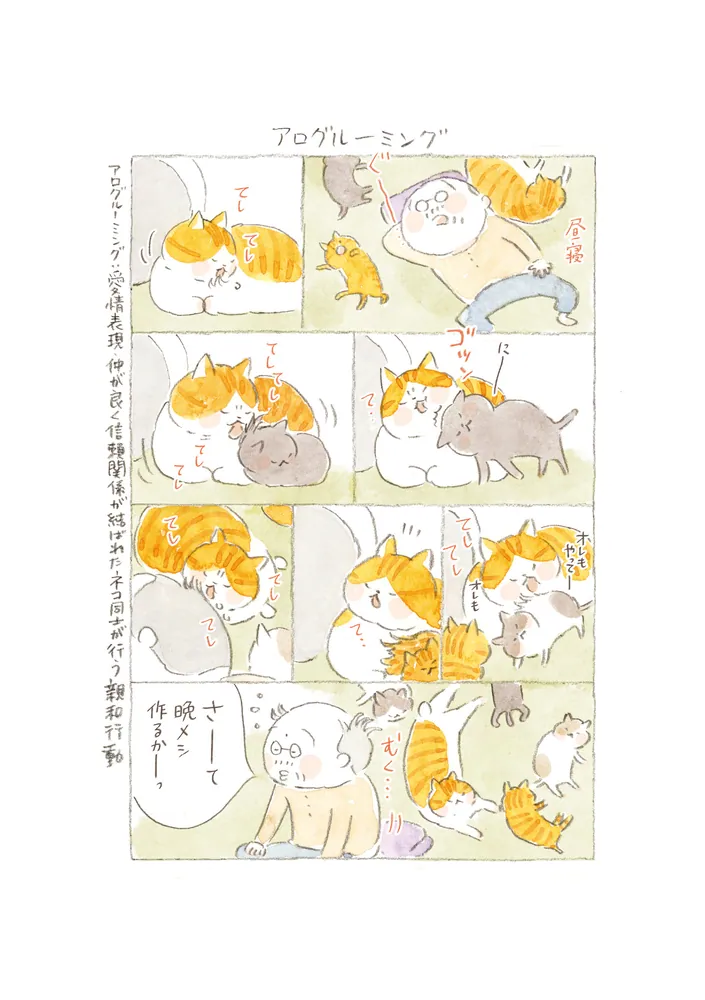 ねことじいちゃん（11）」ねこまき(ミューズワーク) [コミック