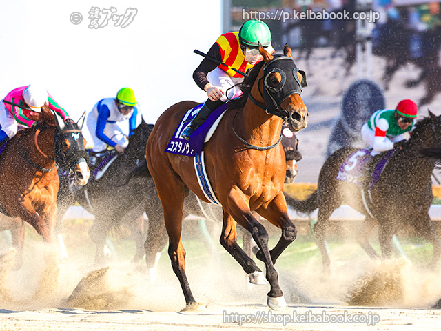 2025年度JRA賞」 フォーエバーヤングが年度代表馬に | ニュース