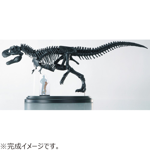 学研（Gakken） 科学と学習PRESENTS ティラノサウルス1／35骨格模型