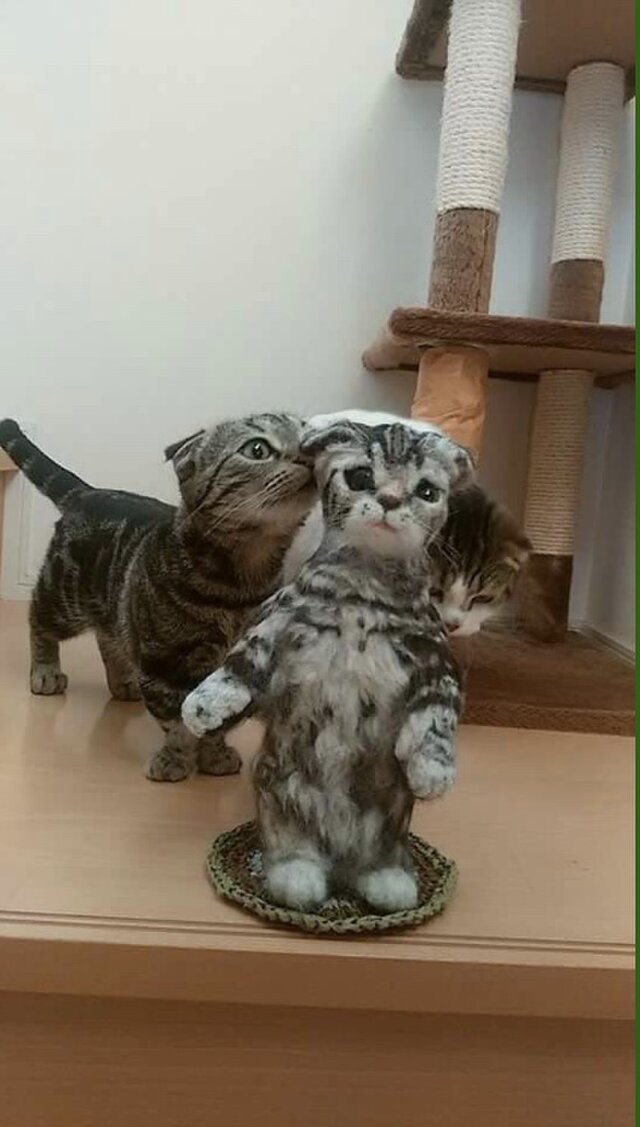 受注制作☆羊毛フェルトのマンチカン子猫 | iichi 日々の暮らしを