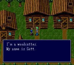 Sorcerer's Kingdom (1992) - MobyGames