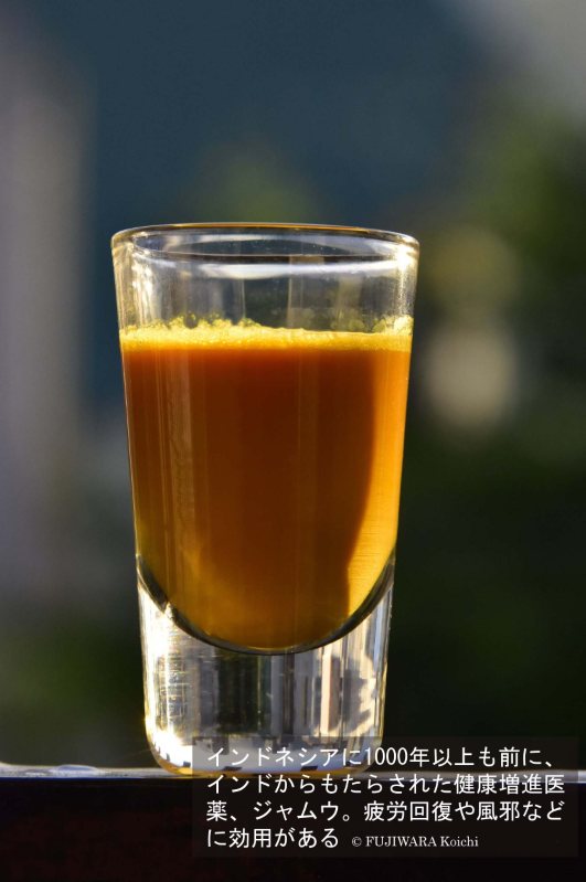 古代伝統医学アーユルヴェーダがもたらした薬（1） | 薬草の森をめぐる