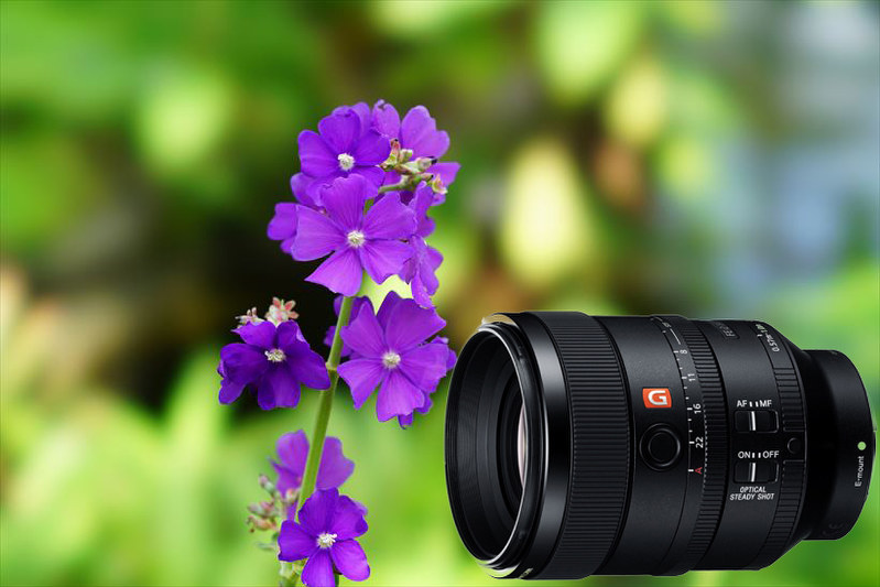 カメラ：とろけるような魅惑のボケ味をもつソニーの「STFレンズ」って