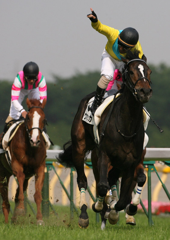 競走馬ウオッカの軌跡 [写真特集1/6] | 毎日新聞