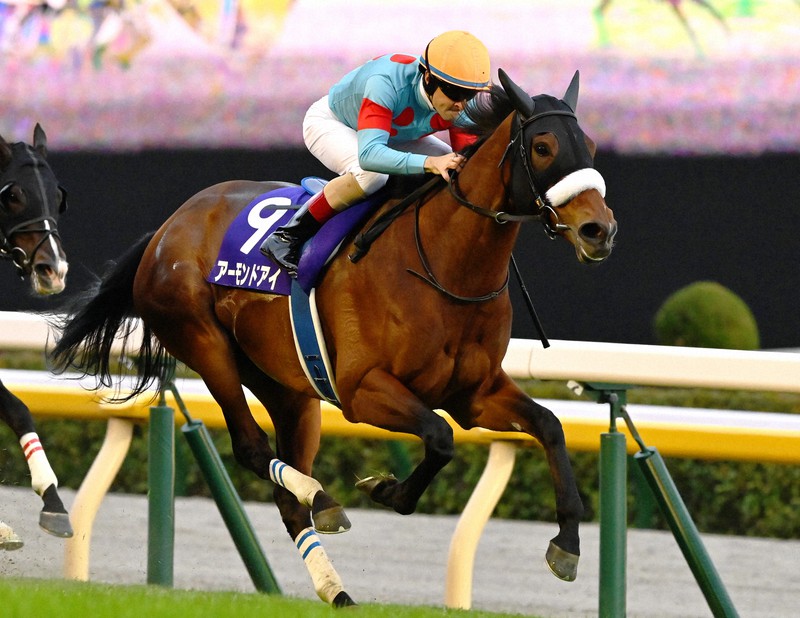 アーモンドアイ、史上初の「8冠」達成 天皇賞・秋を2連覇 [写真特集3/9