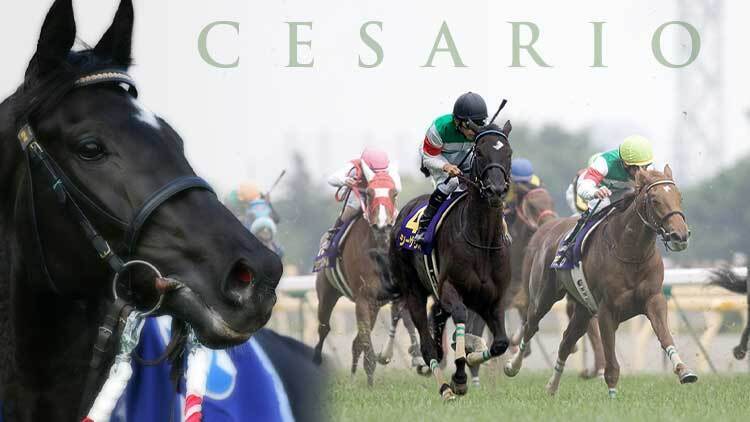 キャロット秋田社長「シーザリオの血が日本の競馬を変えるかもしれない