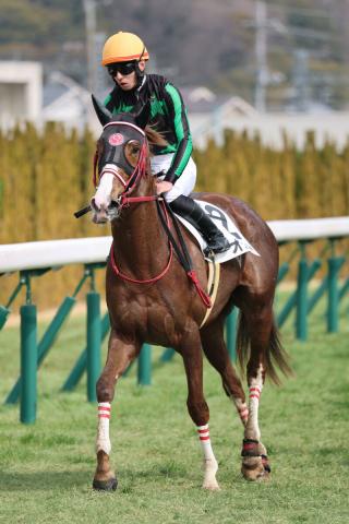 史上初の珍事!馬単より単勝の払い戻しが700円も上回った京都5R ネット