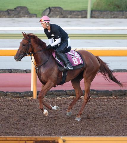 ローズS】タガノアビーは発走前に右前肢ハ行で競走除外 発売金のうち17