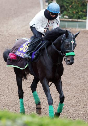 ジャパンC】カッチカチ濃厚なG1だが…今年は衰えぬ6歳馬ジャスティン