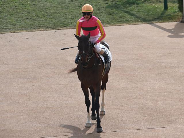 ルヴァンスレーヴのニュース・最新情報 | 競馬まとめ - netkeiba.com