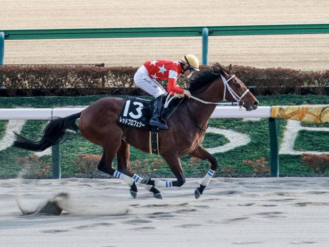 有馬記念】オペラオーとドトウのラストラン マンハッタンカフェが世代