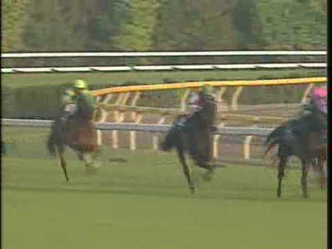 天皇賞(秋) レース結果 | 1998年11月1日 東京11R - netkeiba