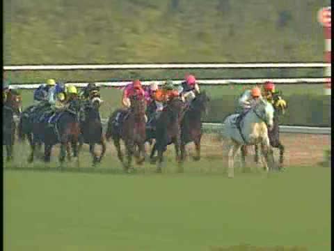 ジャパンカップ レース結果 | 2001年11月25日 東京10R - netkeiba