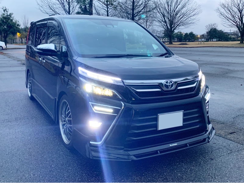 シグネチャーイルミブレードのホワイト化 -その0-（トヨタ ヴォクシー