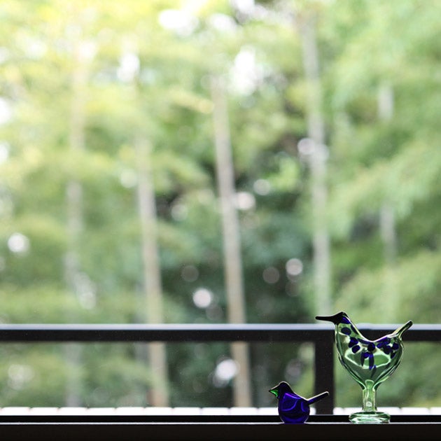 販売終了】Birds by Toikka Rakatti | iittala