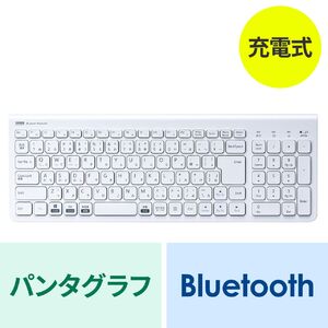サンワダイレクト本店 サンワサプライ【オフィス・PC周辺通販】