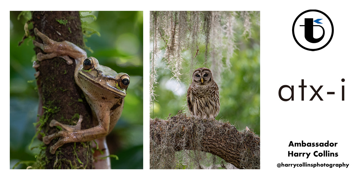 atx-i 100mm Macro f/2.8 Canon EF Mount – Tokina Lens USA