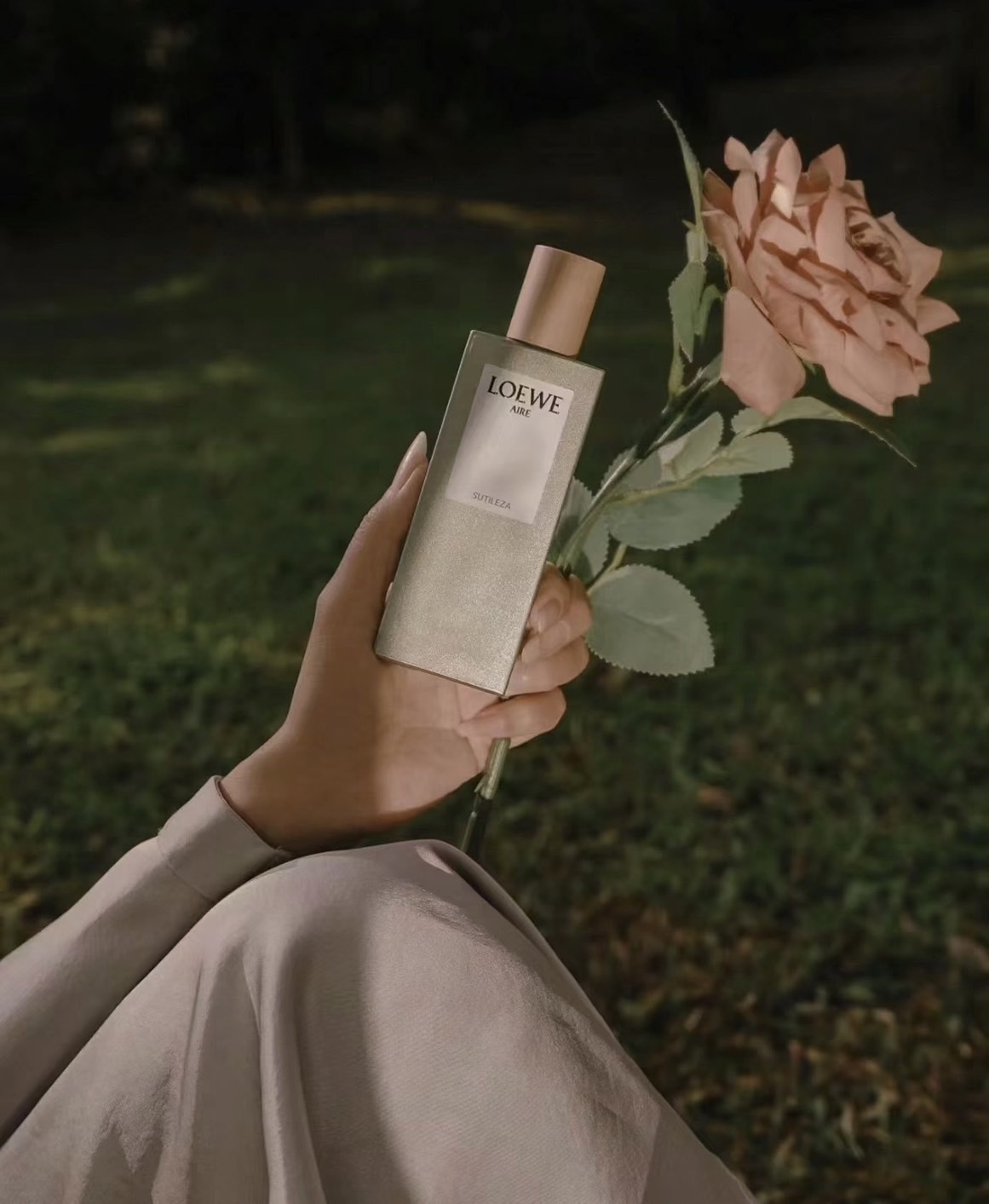 LOEWE AIRE オードトワレ 50mL LOEWE AIRE オードトワレ 50ML SUTILEZA