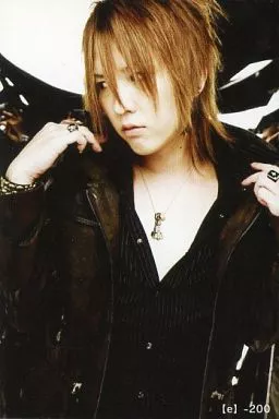 ナイトメア　ツアートレカ 瑠樺1／d~XXIVまで【バラ売りOK】☆ NIGHTMARE ナイトメア RUKA 瑠樺 トレカ23枚セット - メルカリ