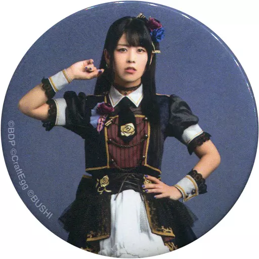 Roselia 相羽あいな　缶バッジ10個③ Roselia アーティストトレーディング缶バッジ vol.4【PACK】