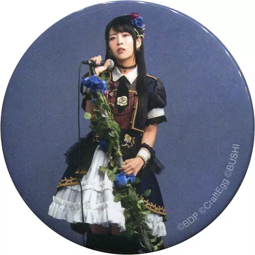 駿河屋 - 【買取】相羽あいな(湊友希那)/楽器・背景：グレー 「Roselia