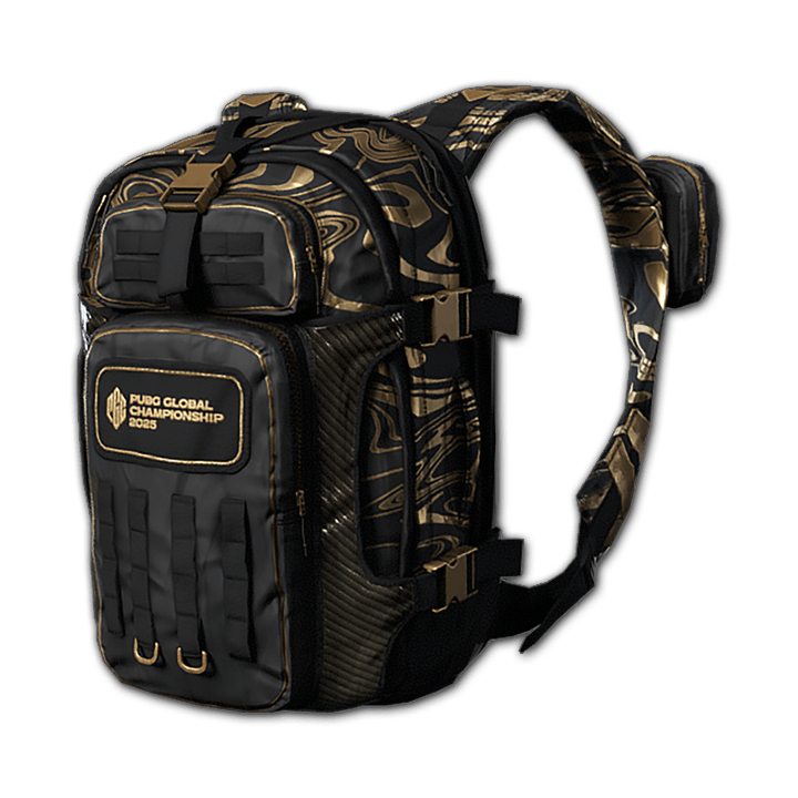 PGC 2025 ナイトヴァンガード バックパック (レベル 3) - PUBG Items