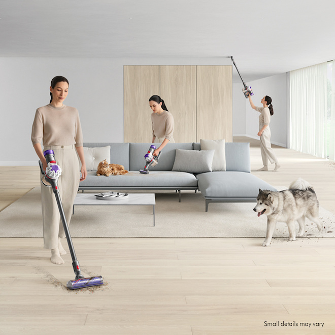 Dyson V8 Animal Cordless Stick and Handheld Vacuum 430551-01 | RONA