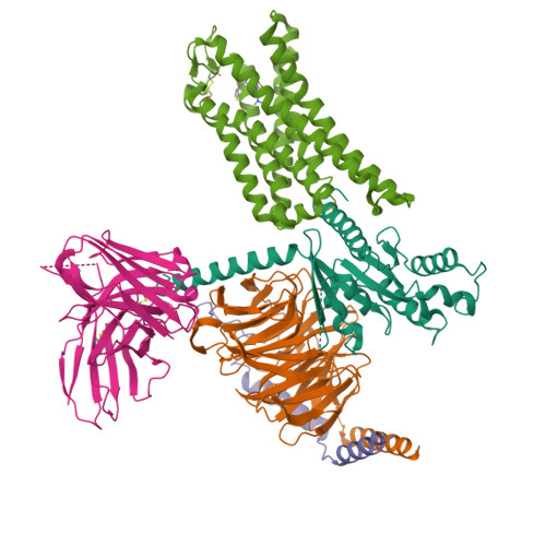 RCSB PDB - 7SBF: PZM21 bound Mu Opioid Receptor-Gi Protein Complex