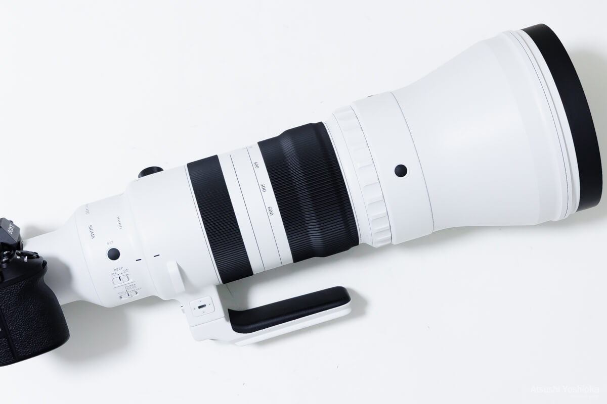 SIGMA 300-600mm F4 DG OS Sports実写レビュー｜超望遠×F4の明るさが