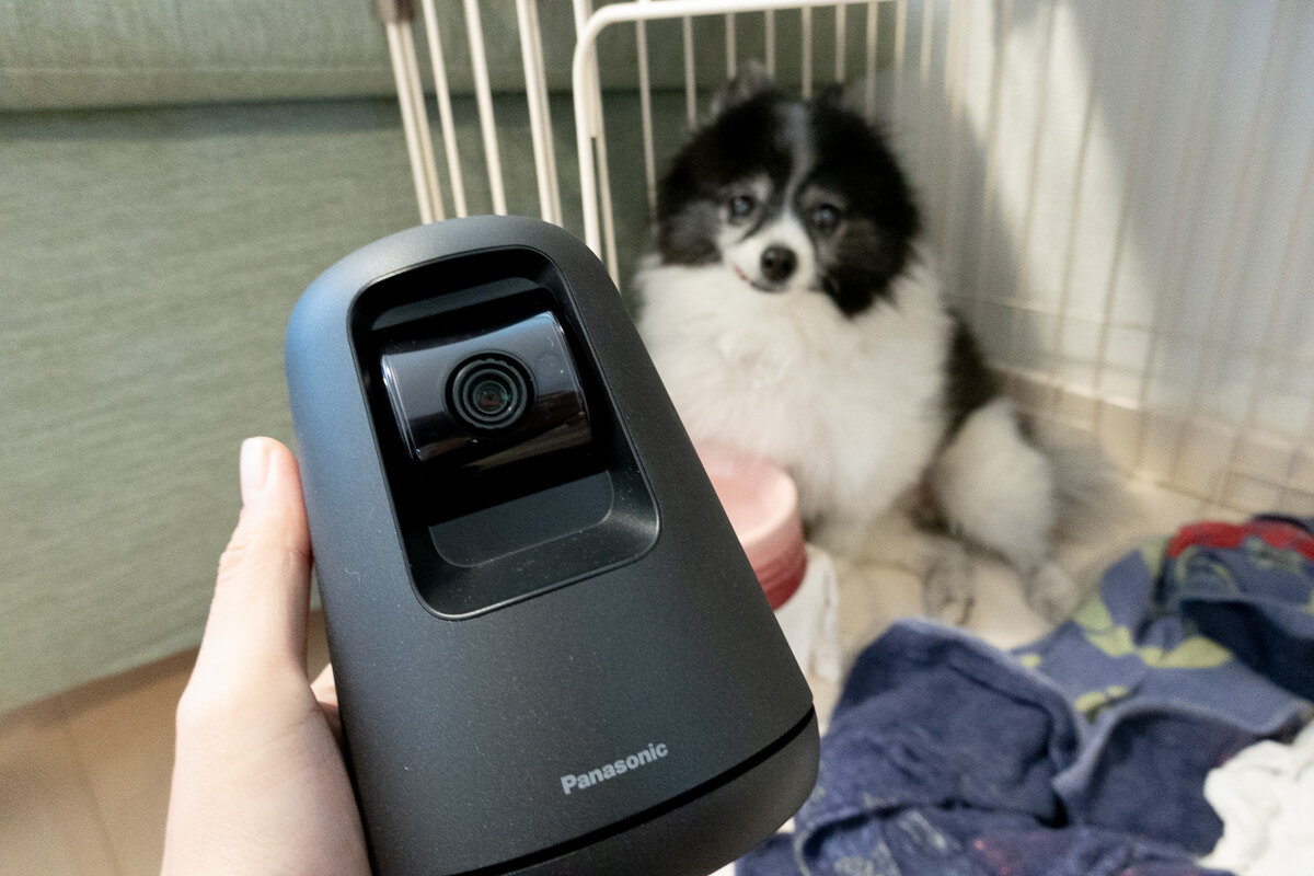 Panasonicの新ペットカメラ KX-HDN215で愛犬見守りレビュー！KX-HDN205