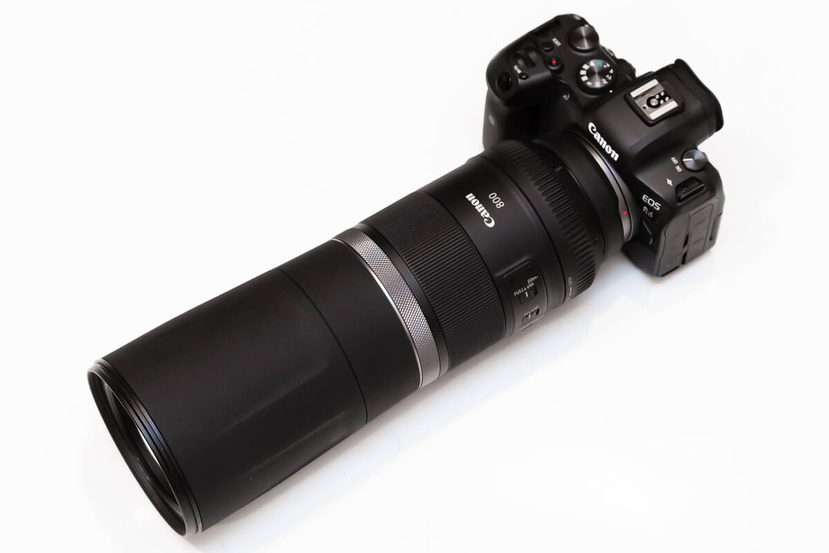 Canon RF800mm F11 IS USM実写レビュー。超望遠撮影のハードルを大きく