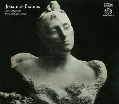 SACD ブラームス 弦楽五重奏曲集 Pentatone マルチ・チャンネル SACD