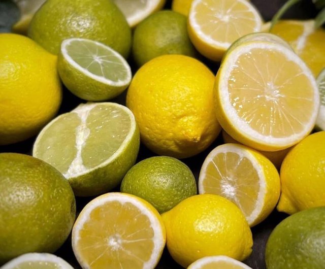 ロシア 【デジタル】ミニチュア柑橘類。チュートリアルポリマークレイ