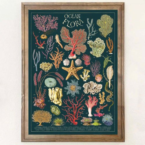 台湾 Cavallini \u0026 Co. ポスター\包装紙 オーシャンシリーズ（各種