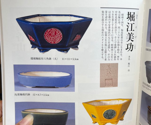 台湾 堀江美公窯 釉丸鉢∣ブラックベリー りりちゅん ミニ鉢植え mu