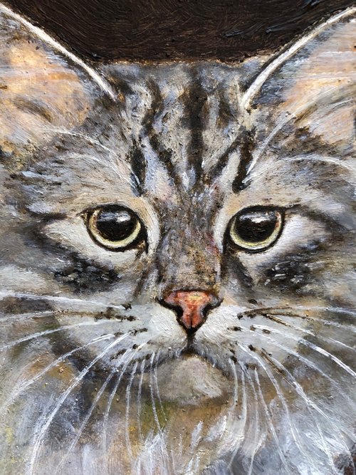 送料無料】ロシア 猫が歩いているモダンな壁アート 6x11 インチの猫の