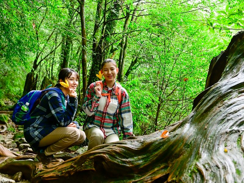 貸切可能 | 屋久島 旅行の観光・オプショナルツアー予約 VELTRA