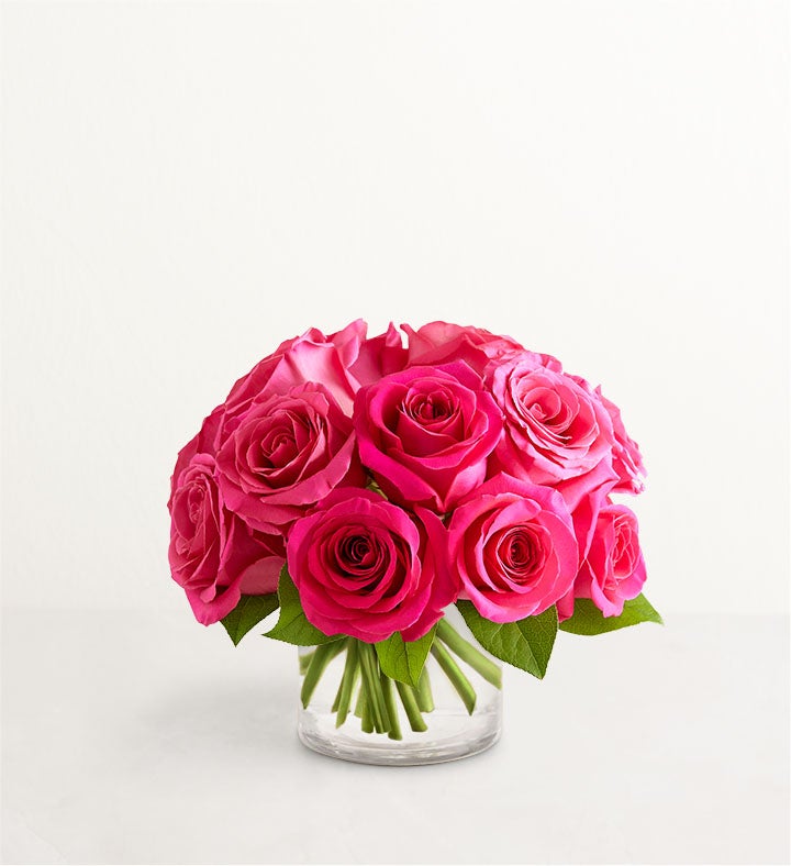 Contemporary Hot Pink Roses from 1-800-Flowers.com | SendFlowers.io