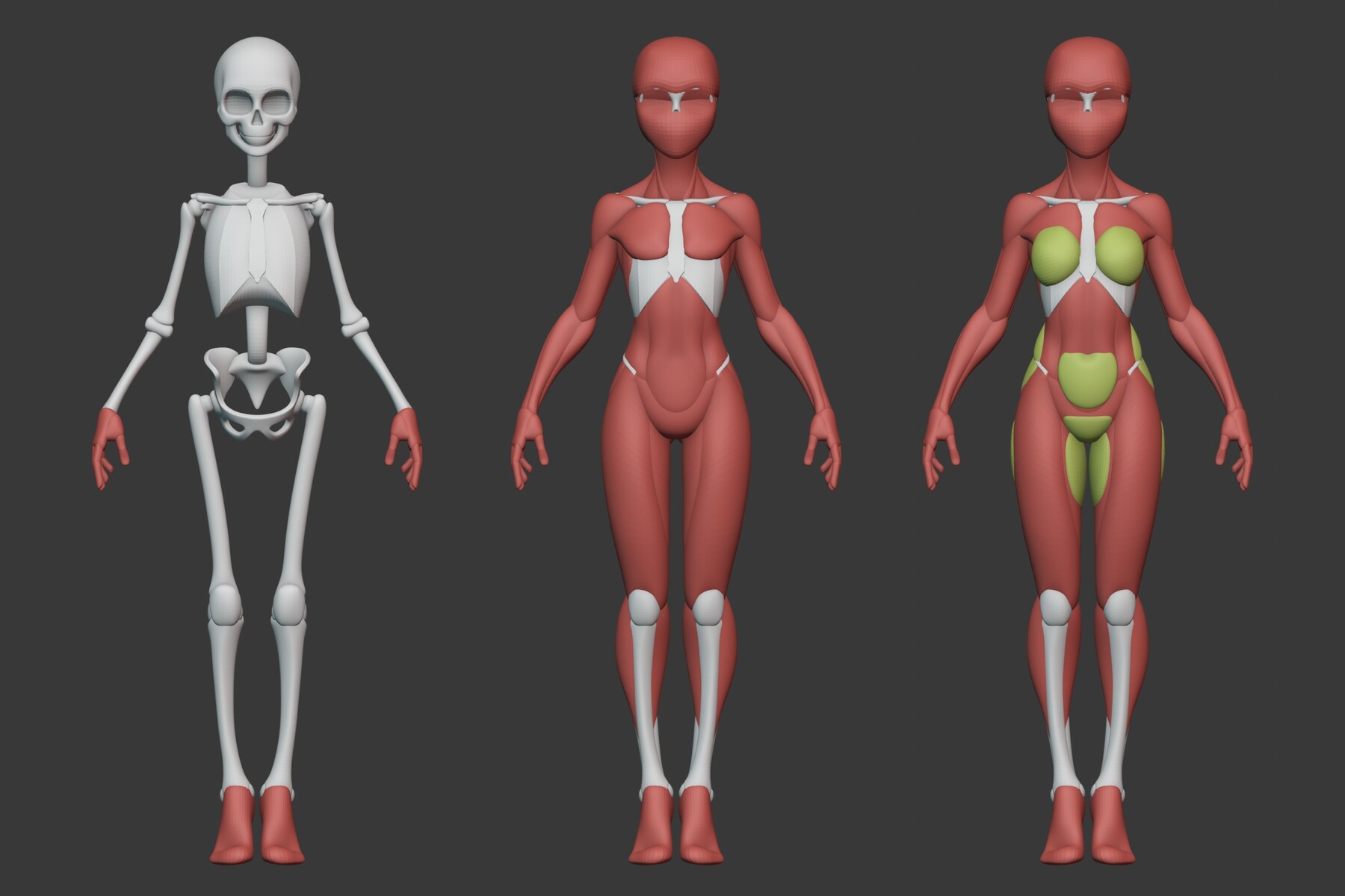 George Zaky - Stylized Female Anatomy