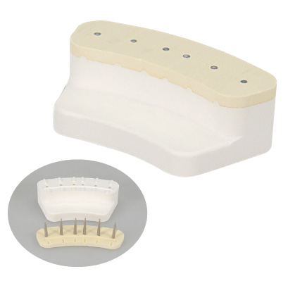 FEEDデンタル】だいちゃんの通販｜貼付式模型台