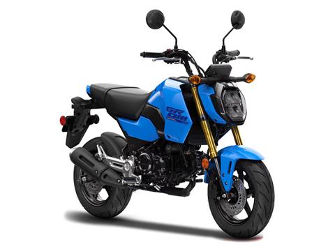 New 2025 Honda Grom Motorcycles in Aurora, IL | Stock Number: H24205