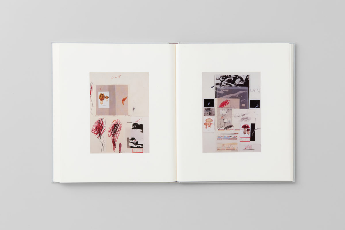 centre Inc. | Cy Twombly: Cy Twombly Photographs: Lyrical Variations
