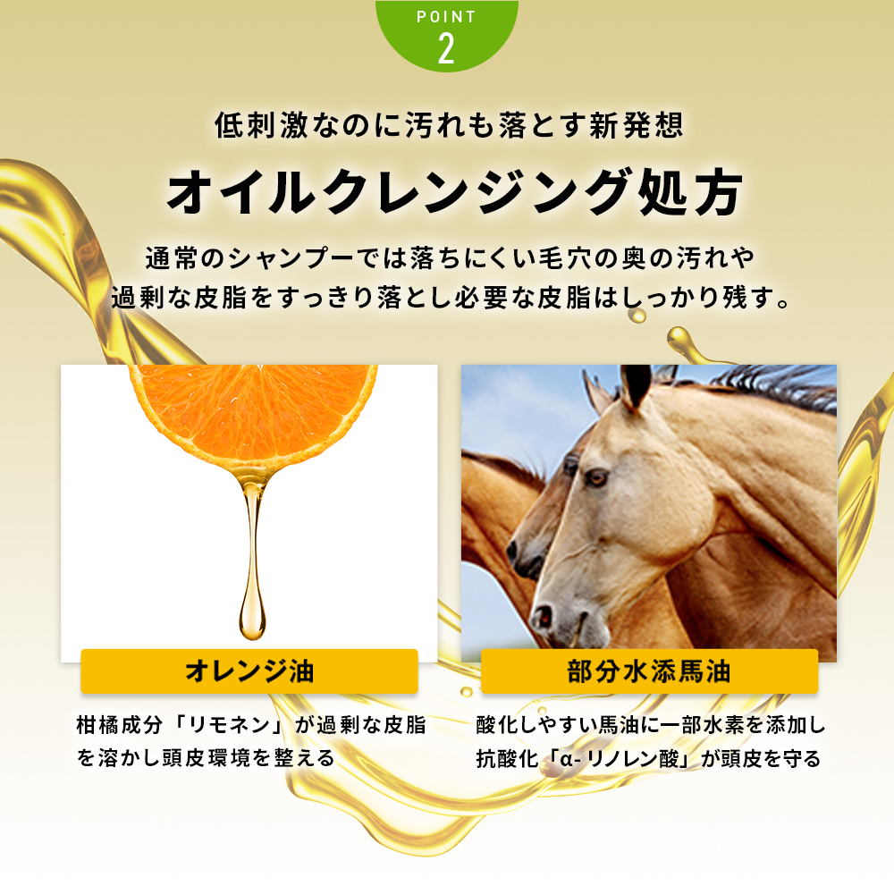 商品詳細 ケフトルEX-シャンプー＆コンディショナー ボトルセット