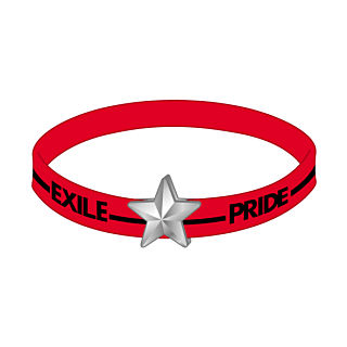 EXILE PRIDEシリーズ│EXILE ライブツアー2013 オフィシャルグッズ