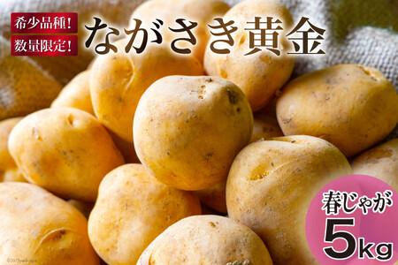期間限定発送】 じゃがいも ながさき黄金 5kg ( 春じゃがいも ) [南串
