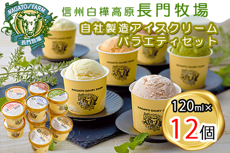 長門牧場 自社製造アイスクリーム 贅沢バラエティセット12個