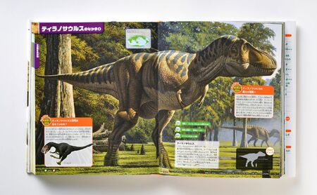 本 講談社の動く図鑑MOVE 生きもの 7冊 セット 入学・進級お祝い 子供