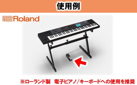 Roland】電子ピアノ用ダンパーペダル/DP-10【配送不可：離島】 雑貨