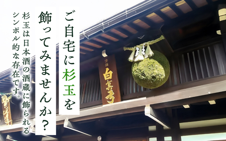 日本酒ライフに彩りを！杉玉直径40cm。自宅やお店のインテリアに。【67